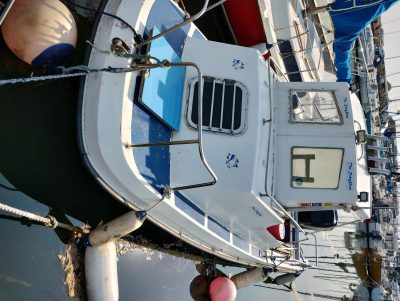 Wilson flyer